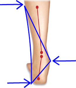 Valgus Ankle Control